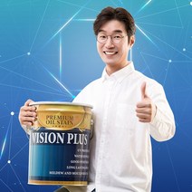 우드케어 오일스테인 vision 4리터, 소나무