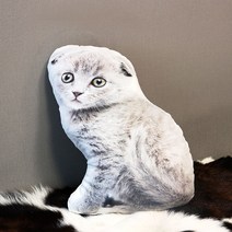 리얼 실사 출력 3D 고양이 봉제 쿠션 동물 방석 폴드, 단품