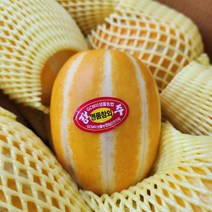 산지직송 당일발송 2023 가정용 고당도 성주 꿀 참외 1.5kg 3kg 5kg 10kg, 가정용 고당도참외, 소과, 10kg(46~63과)