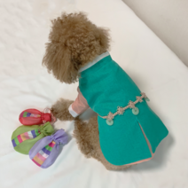 강아지 한복 핸드메이드 두루마기 쾌자 웰시코기 대형견 고양이 맞춤 추석 설 설빔, 꽃구름