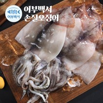 [KT알파쇼핑]촉촉한 손질 오징어 大 사이즈 20미+오징어채 7팩 (총 3.1kg), 7개