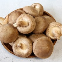광헌팜 생표고버섯 1kg/2kg/4kg, 표고버섯 가정용 2kg