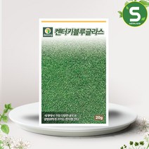 솔림텃밭몰 켄터키블루그라스잔디씨앗 20g 한지형잔디 캔블루, 1개
