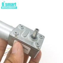 웜기어 감속기 모터 Bringmart JGY-2430 브러시리스 12 볼트 24V DC 웜 기어 모터 자동 잠금 가역 브레이크, 11 24V 18rpm