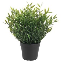 이케아 IKEA 인조식물 실내외겸용 금사초 26cm, 1개
