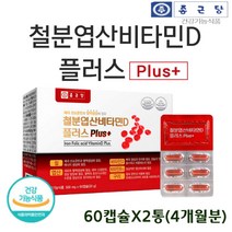 철분 엽산 비타민D 플러스 500mX60캡슐