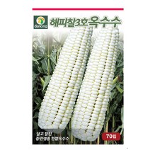 해피찰3호흰찰옥수수 2500립 해피찰3호흰찰옥수수씨 해피찰3호흰찰옥수수종자 해피찰3호흰찰옥수수씨앗