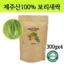 새싹 보리순 분말 국산 보리새싹 뿌리 가루 파우더 차 어린잎 착즙 푸른보리 클렌즈 폴리코사놀 사포나린 내장지방 독소빼는 중금속없는 간헐적 단식 효능 먹는법, 300g, 4봉