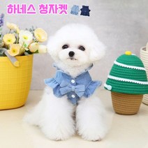 강아지 청자켓, 연청/L