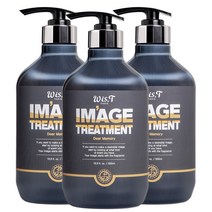 위스티 이미지 극손상 헤어트리트먼트 디어메모리 500ml, 3개