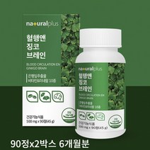 플러스 혈행 앤 징코브레인 90정 플라보놀배당체 활력 기억력 혈행 개선 증진 건강 관리, 90정x2박스 6개월분(할인가)