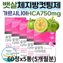 뱃살 팔뚝살 체지방 컷팅제 가르시니아 DIET 보조제 비타민B6 판토텐산 내장지방 빼는법 다이어트 효능 중년 남자 여성 30대 40대 50대 똥배빼는법 허벅지살빼는법 탄수화물