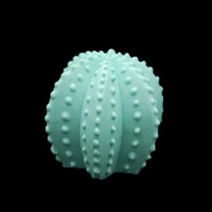 3D선인장 14번 - 수제몰드