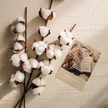 플라우스302 목화꽃 조화 2size 겨울꽃 인테리어 촬영 소품, C.아이보리줄무늬도자기화병_S(단품)