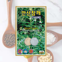 안산참깨씨 3000립 참깨 씨앗 대장 KS종묘, 1개