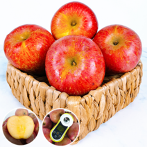 [긍정적인 밥상] 경북 홍로 사과 산지직송, 가정용, 중과 2kg(7-9과), 1개