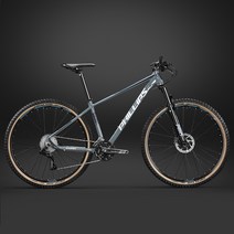 mtb자전거 접이식 카본 산악 자전거 필립 29 인치 더블 디스크 브레이크 오프로드, 29인치, soar 페리스 그레이 오일 접시 흔적 없음 평면, 30단