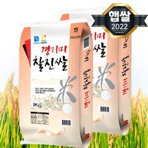 2022년 햅쌀 경기미 찰진쌀 20kg(10kg 2개) 간척지쌀, 단품