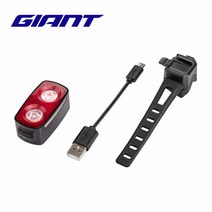 자전거 전조등 라이트 후미등 브레이크등 Giant 공식 Recon tl200 USB 충전식 고휘도 강한 빛 방수 경고등, 01 RECON TL200