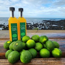 제주 무농약 착즙 청귤청, 1병, 1병, 460g