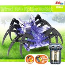 FU261 스파이더 로봇 영재 교육 자연 학습 과학, ▶상품선택♬
