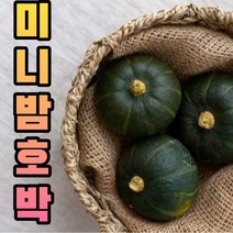 국내산 미니 밤호박 1kg 2kg 단호박 보짱 보우짱 호박 고당도 달콤 산지직송 미니밤호박 미니단호박, 미니밤호박 2kg(3~8개 이상)