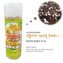 영양제-생생코트(콘티365)