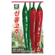 갑조네 열매 채소류 씨앗 모음, 신홍고추(씨앗), 1개