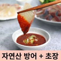 자연산 방어 방어회 활방어회 손질방어 손질방어회 필렛 초장, 손질방어 필렛 500g + 초장