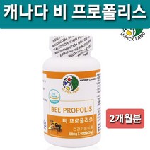 100% 캐나다 산 비 프로폴리스 캡슐 고함량 플라보노이드 17mg함유 식약처 기능성 인정 건강기능식품 비프로폴리스 BEE propolis 캐나다직구 항산화물질 항산화에 도움 환절기 황사철 구강 건강 추천 대용량, 1병, 60캡슐