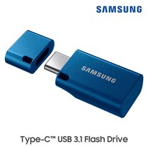 삼성전자 삼성 USB 3.1 메모리 C타입 TYPE-C 128GB MUF-128DAAPC, 단품