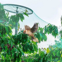 농사용그물망 4x10m 새 참새 과수원 텃밭 보호망, 4x10m-1개