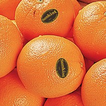 썬키스트 블랙라벨 고당도 오렌지, 중대과(72), 36개입 (약8.5kg)