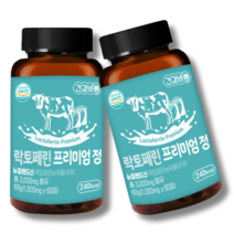 장용성 락토페린 식약처 해썹인증 스키니랩 락토페린 다이어트300mg 락토페린 프리미엄 정3000mg + 2개 이상 구매시 종근당 사은품 증정!!, 락토페린 프리미엄정 60정_2개월