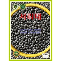 서리태 콩씨앗 30g