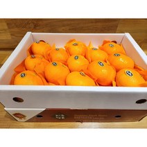 제주 선물용 프리미엄 천혜향(특품)!!!, (13~15과) 찐맛 제주 천혜향(특품), 6) 5kg 미만