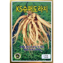 KS슈퍼도라지 도라지씨앗 2천립, 1개