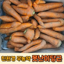 [국내산] 국산 못난이당근5kg 친환경 무농약 못난이당근 당근주스용 쥬스용당근 국산당근쥬스용 즙용당근, 1개