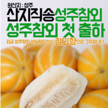 참앤팜 2020년 햇 성주참외, 1박스, 08)가정용 성주참외 중과 5kg이내 (포장재 포함)