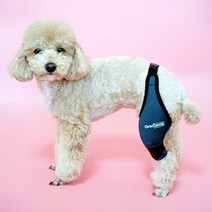 오르토카니스 강아지 슬개골 보호대 동물용 의료기기 ORT003, 발 방향:왼발|사이즈:X미니