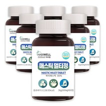 하비웰 매스틱 멀티정 600mg X 60정, 6통
