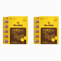 종근당 와일드비 프로폴리스 플러스 500mg 60캡슐 1+1