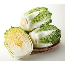 <도도> 국내산 손질배추 2Kg 내외 1통” class=”wr-img”></a></div></div></div></div><div class=