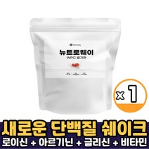 뉴트로웨이 WPC 딸기맛 단백질 보충제 유청단백질 가루 분말 헬스보충제 프로틴 파우더 먹는법, 1개, 프로틴 WPC 1.2kg 딸기맛