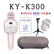 금영 뮤즐2 블루투스 마이크 KY-K300