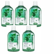 덴티스테 내츄럴 오랄린스, 700ml, 5개