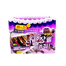 BTM 우리집 신발장을 지켜줘 탈취제 250g, 본상품선택