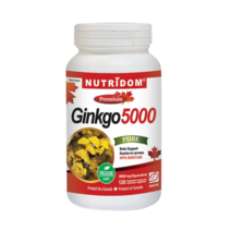 뉴트리돔 징코 5000mg 120정 은행잎추출물 기억력 개선 영양제 집중력, 1개