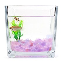 구피 핑크 돌 퍼플 250g 유리 컬러 어항 꾸미기 자갈 알비노폴레드 금붕어키우기 미니 베타, 노엘 믹스퍼플돌