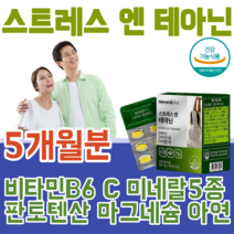 식약처 인증 스트레스 엔 테아닌 비타민 B6 C 미네랄 감태 분말 홍경천 시계꽃 발레리안 추출 물 판토텐산 마그네슘 타우린 캐모마일 아연 PTP 포장, 5